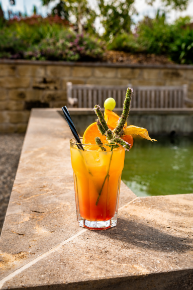 Ein fruchtiger Cocktail mit Orange, Traube und grünem Strohhalm vor einem Teich. Sex on the beach